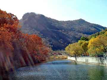 正版澳门天天开彩大全，青田石价格